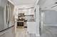 1838 S Racine, Chicago, IL 60608