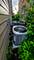 5623 N Miltimore, Chicago, IL 60646