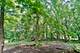 Lot 2 Highland, Algonquin, IL 60102