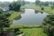 310 Lakeview, Buffalo Grove, IL 60089