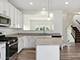14017 S Belmont, Homer Glen, IL 60491