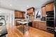 610 Hammerschmidt, Lombard, IL 60148