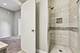 2243 N Greenview Unit D, Chicago, IL 60614