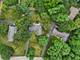 205 Sherwood, Elgin, IL 60120