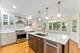 4043 Russet, Northbrook, IL 60062