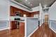 1069 W 14th Unit 329, Chicago, IL 60608