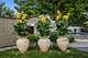 950 Huber, Glenview, IL 60025
