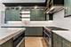 1519 W Addison, Chicago, IL 60613