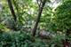 41616 E Ravine, Zion, IL 60099