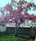 3624 S Parnell, Chicago, IL 60609