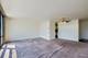 3001 S Michigan Unit 1305, Chicago, IL 60616