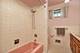 1308 Hosmer, Joliet, IL 60435