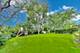 248 Beverly, Barrington, IL 60010