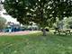 1802 Winthrop, Highland Park, IL 60035