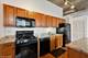 811 W 15th Unit 513, Chicago, IL 60608