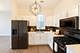 3536 S Prairie Unit 1, Chicago, IL 60653