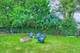 31 Sparrow, Carpentersville, IL 60110