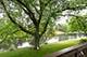 1710 Chestnut Hill, Plainfield, IL 60586
