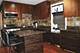 4051 N Marmora, Chicago, IL 60634
