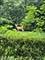 21704 N Pine Grove, Kildeer, IL 60047