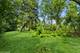 21704 N Pine Grove, Kildeer, IL 60047