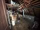 3801 N Albany, Chicago, IL 60618