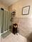 4028 S King, Chicago, IL 60653
