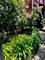 1243 N Damen Unit G, Chicago, IL 60622