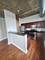 1305 S Michigan Unit 1805, Chicago, IL 60605