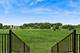 5983 Championship, Yorkville, IL 60560