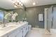 18602 W Meander, Grayslake, IL 60030