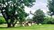 826 S Roosevelt, Arlington Heights, IL 60005