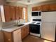 7210 Oak Unit 3SW, River Forest, IL 60305