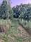 2158 Middlebury, Aurora, IL 60503
