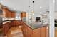 239 Circle, Forest Park, IL 60130
