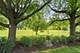 5N648 Farrier Point, St. Charles, IL 60175