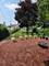8252 S Calumet, Chicago, IL 60619