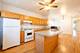 1920 W School, Chicago, IL 60657