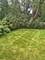 127 S Mitchell, Arlington Heights, IL 60005