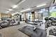 1455 N Sandburg Unit 2009, Chicago, IL 60610