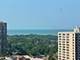 3930 N Pine Grove Unit 2313, Chicago, IL 60613