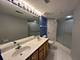 11 S Wille Unit 401, Mount Prospect, IL 60056