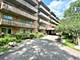 502 Redondo Unit 503, Downers Grove, IL 60516