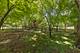 28W041 Greenview, Warrenville, IL 60555