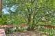 2432 223rd, Sauk Village, IL 60411