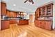 15220 Arbor, Orland Park, IL 60467