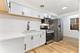 8717 S Luella, Chicago, IL 60617