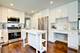 1344 Fir, Naperville, IL 60540