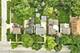 1017 N Main, Wheaton, IL 60187
