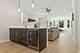 4525 N Artesian, Chicago, IL 60625